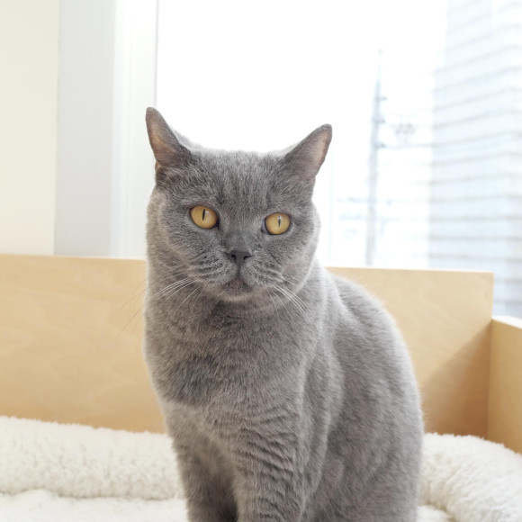 ちゅらちゃんのかわいいポーズ♡