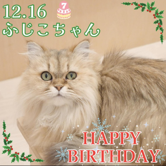 ♡happy birthday ふじこ♡