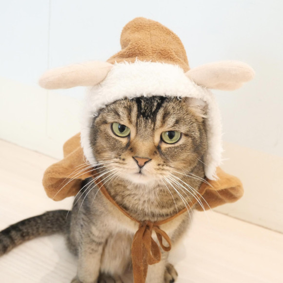 トナカイ衣装の なちくん