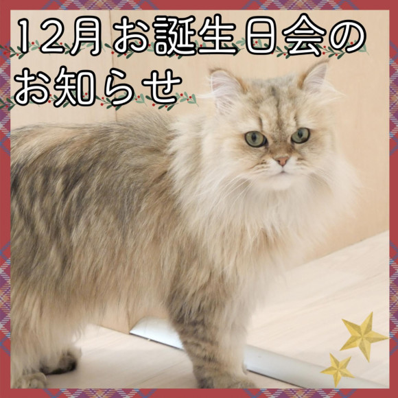 誕生日会のお知らせ