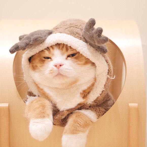 クリスマスコスチューム❤︎