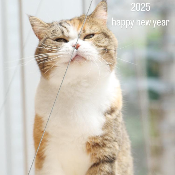 新年あけましておめでとうございます！