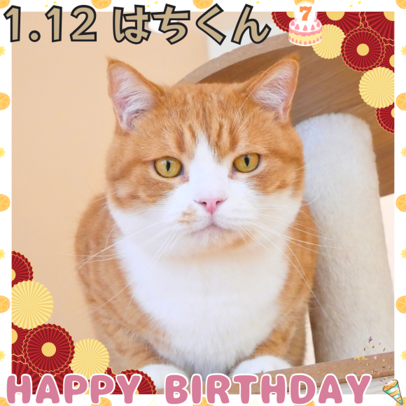 お誕生日はちくん！