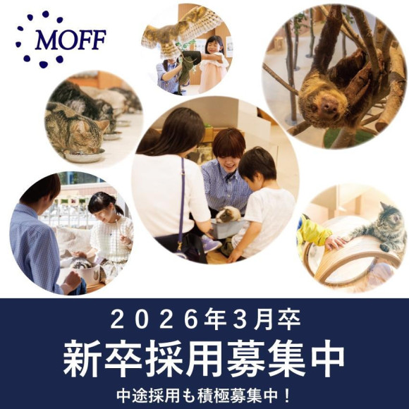 新卒採用募集中！