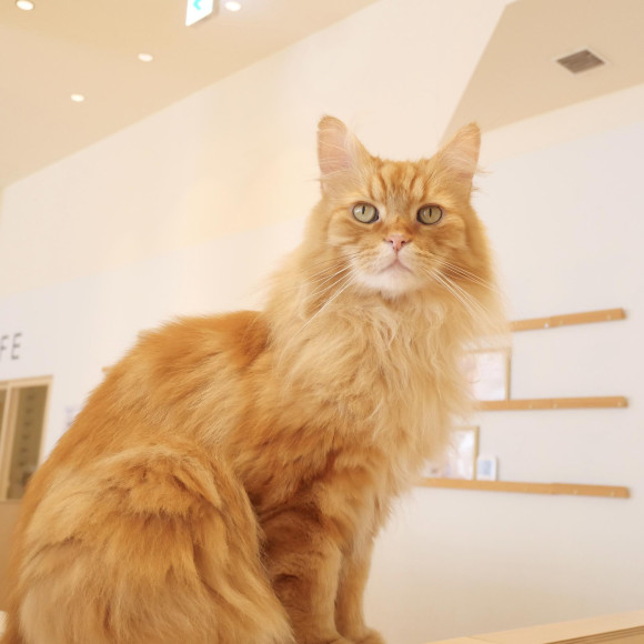 おやつ大好きマークくん