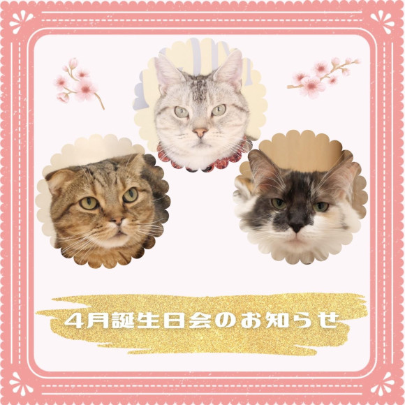 ♡Announcement of April Birthday Party♡