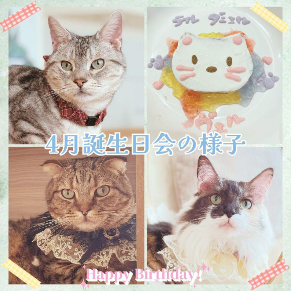 4月生日會的樣子♪