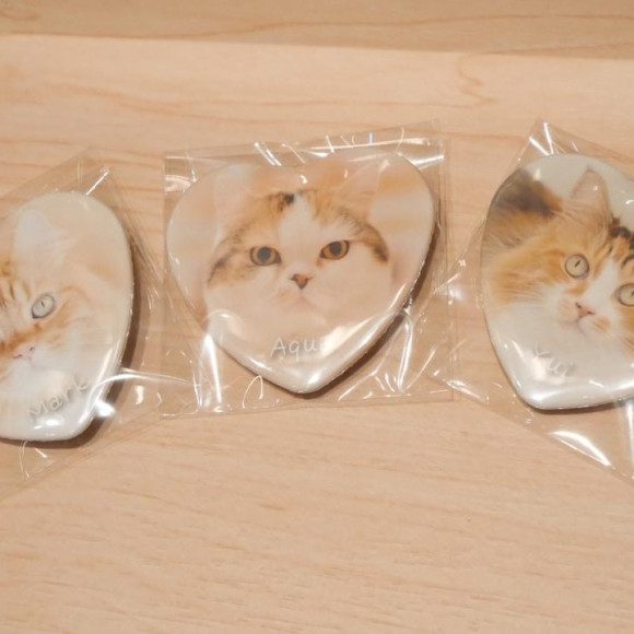 ♡NEW 하트형 캔 배지 알림♡