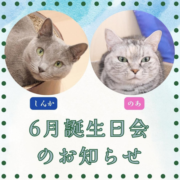 【 ６月お誕生日会 開催のお知らせ 】