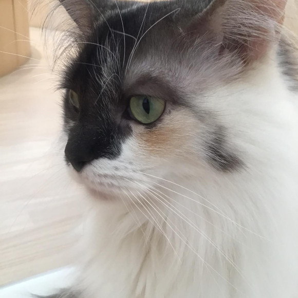 ที่น่ารักของเบล♡