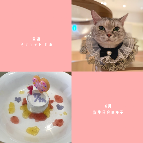 为您介绍6月生日会的情况♪