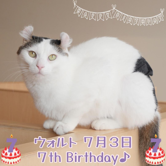 Happy Birthday Walt /