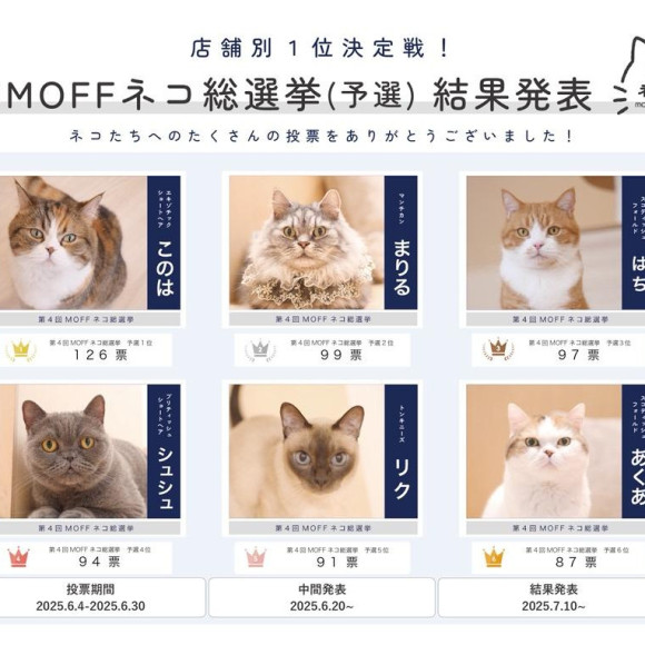 Qualifying results of the 4th MOFF Cat General Election