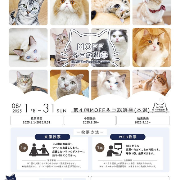 Final Round of the 4th MOFF Cat General Election