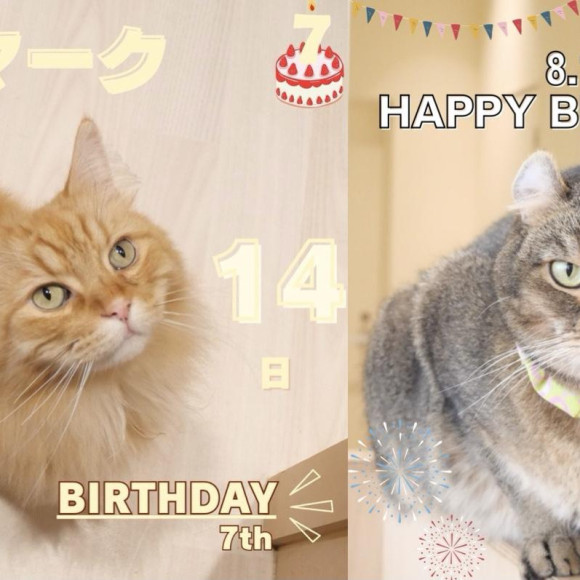 \ ☀︎Happy Birthday ☀︎/