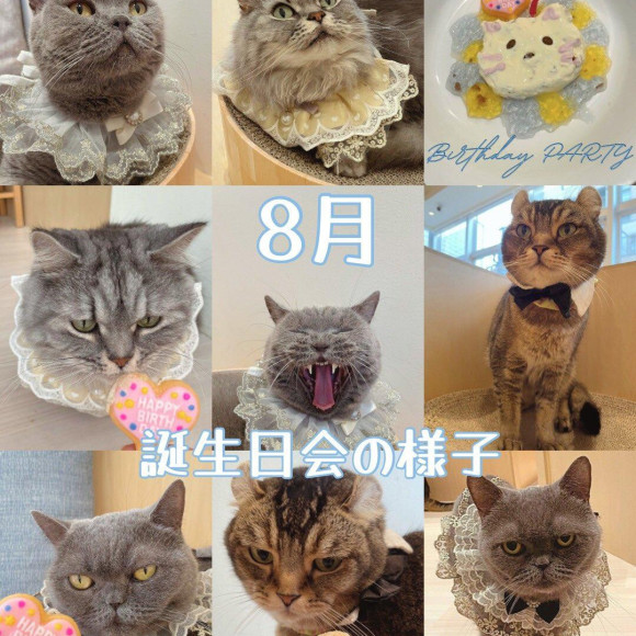 ⭐8월 생일회의 모습
