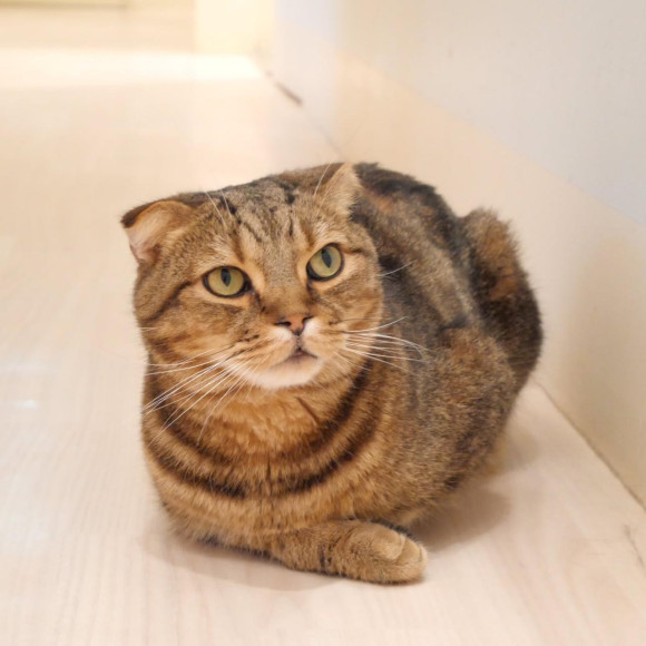 9월 들어왔어요!