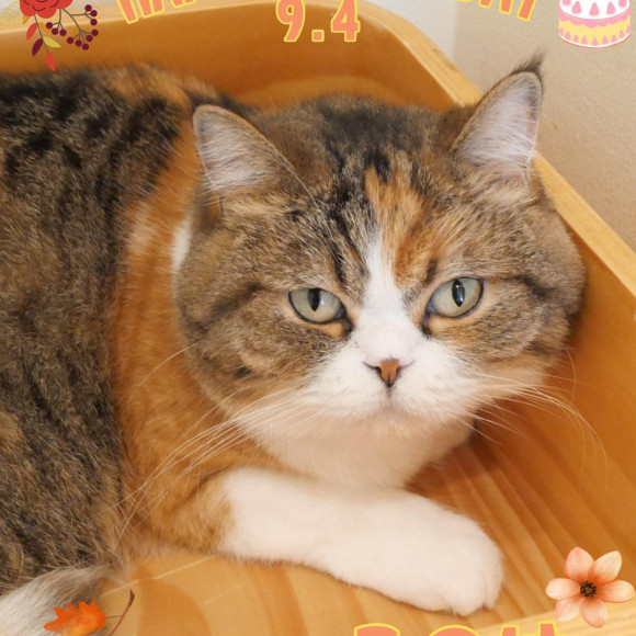 \♡Happy Birthday這是♡/