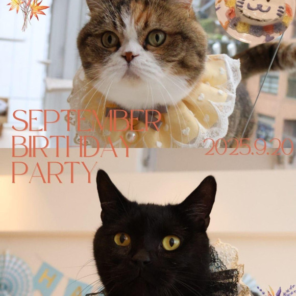 【9月誕生日会の様子】