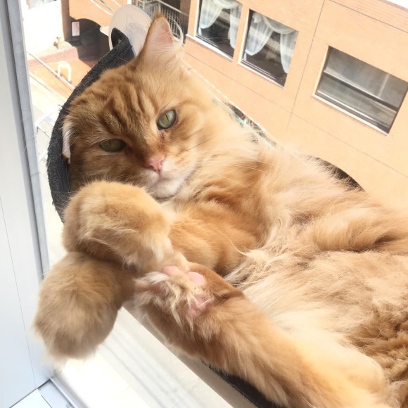 日向ぼっこマークくん