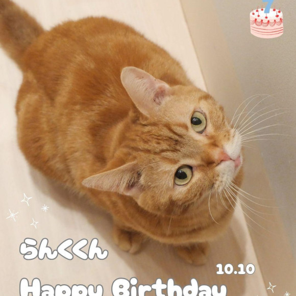 ⭐︎らんくくんお誕生日おめでとう⭐︎