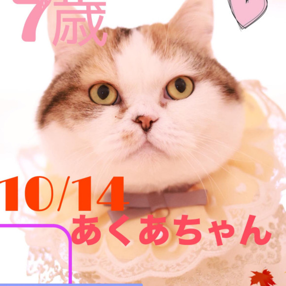 Happy birthday เปิด