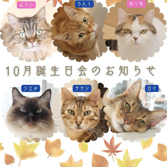 [เรื่องแจ้งของเดือนตุลาคมงานเลี้ยงวันเกิดการจัด]