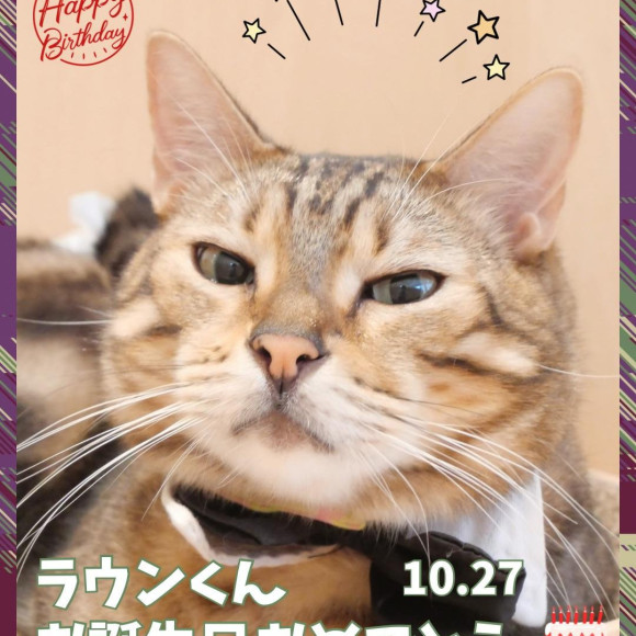 ラウンくん７歳のお誕生日おめでとう⭐︎