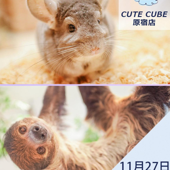 【新店舗情報】