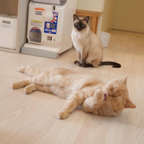 ジョニーくんとリクくん⭐︎