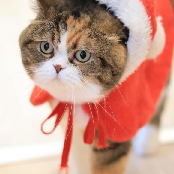 ⭐︎クリスマスイベント開催中⭐︎