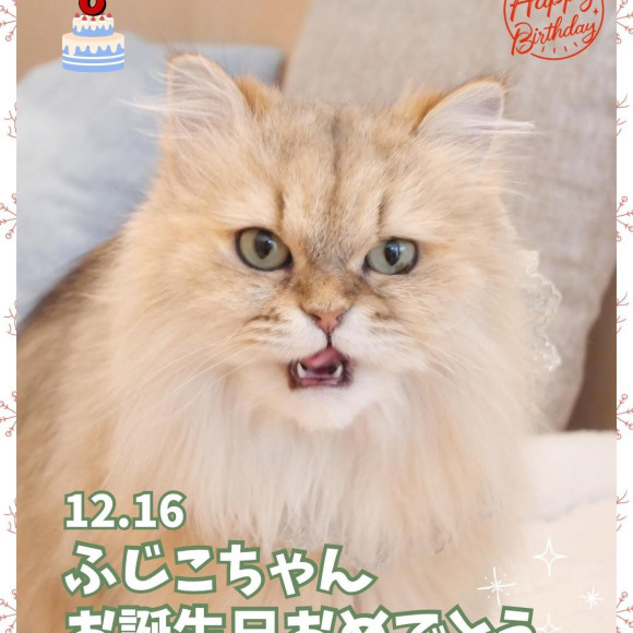 ❤︎Happy birthdayふじこ❤︎