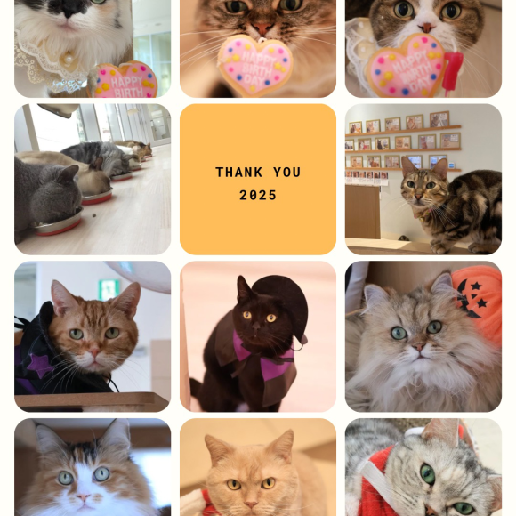 2025年もありがとうございました⭐︎