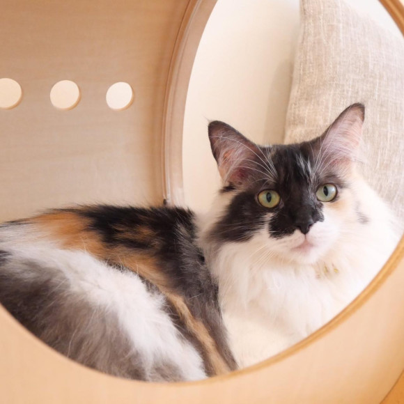 遊ぶの大好きヴェルちゃん⭐︎