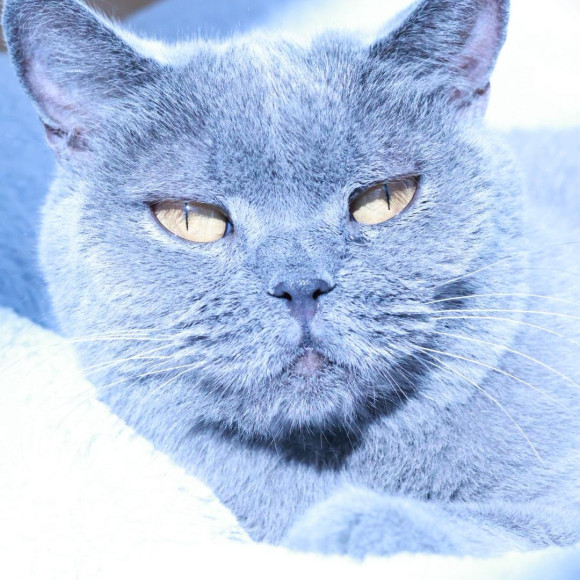 本日　休園日です！