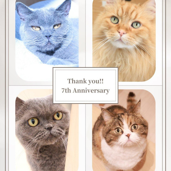 ⭐︎3月14日で7周年を迎えました⭐︎