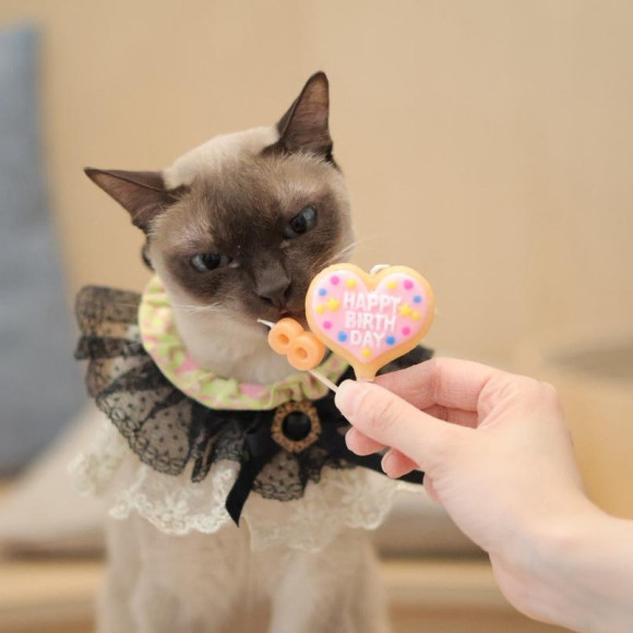 ⭐︎3月お誕生日会の様子⭐︎