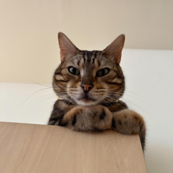 運動神経抜群のラウンくん⭐︎