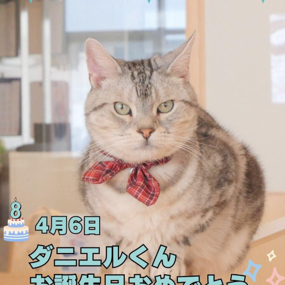 \\ Happy birthday ダニエル //