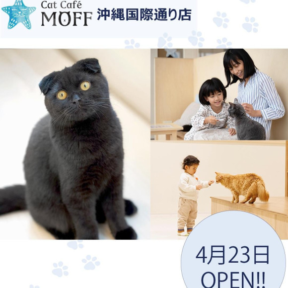 《新店舗オープンのお知らせ》