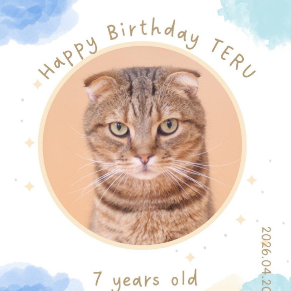 ＼Happy Birthday テル!!／