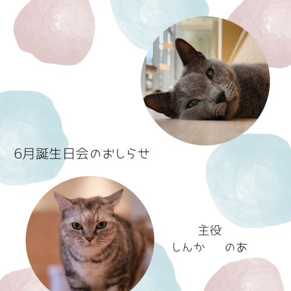 6月のお誕生日会のお知らせ♪
