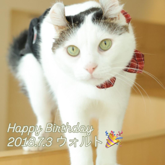 ウォルト　くんの誕生日です！！