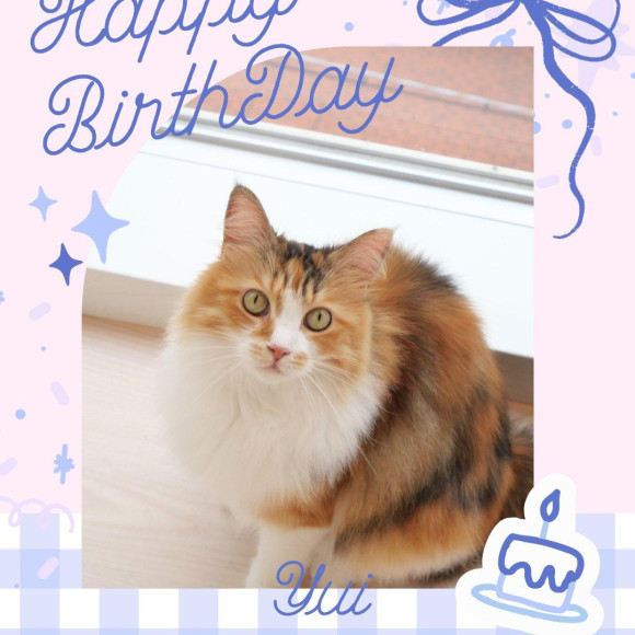 ゆいちゃん8歳のお誕生日でした⭐︎