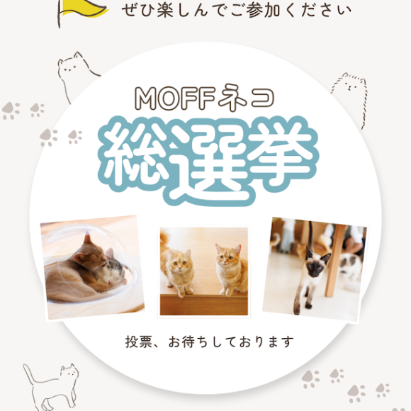 ネコ総選挙のお知らせ★