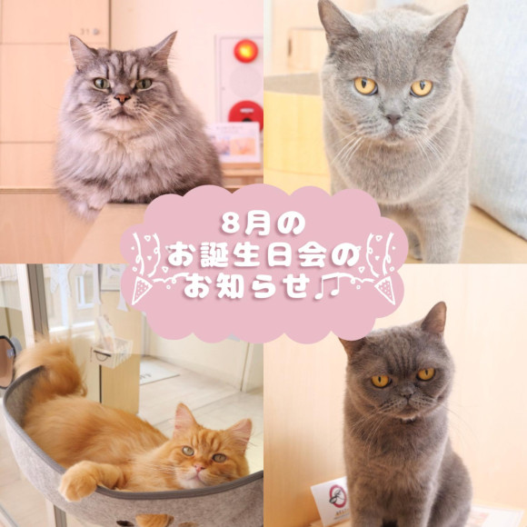 8月お誕生日会のお知らせ♪