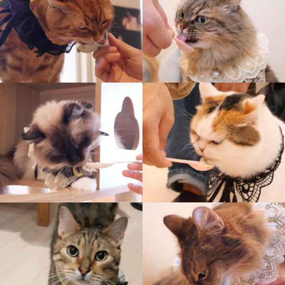 10月お誕生日会の様子