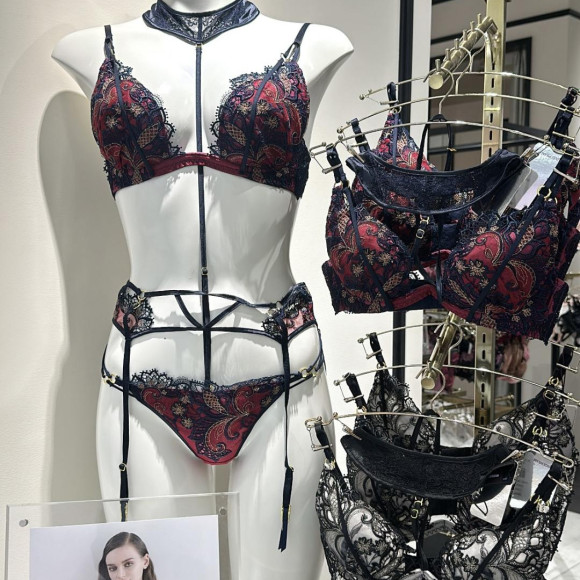 ♡2024 new lingerie collection♡