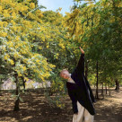 お花見に行ってきました