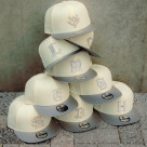 Nippon Professional Baseball Organization